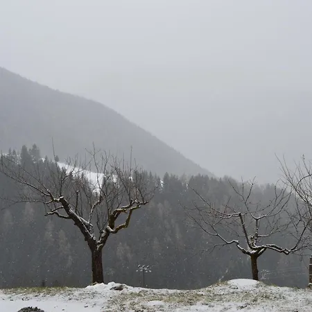 Martlerhof Urlaub Auf Dem Bauernhof